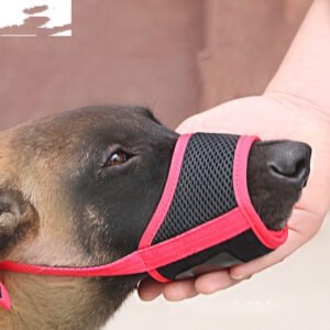 Pet Supplies